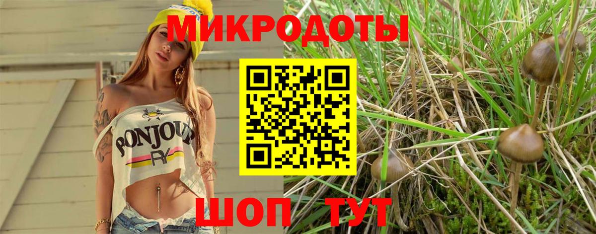 Псилоцибиновые грибы мухоморы  Галлюциногенные грибы мицелий  Шатура  Вход с VPN 