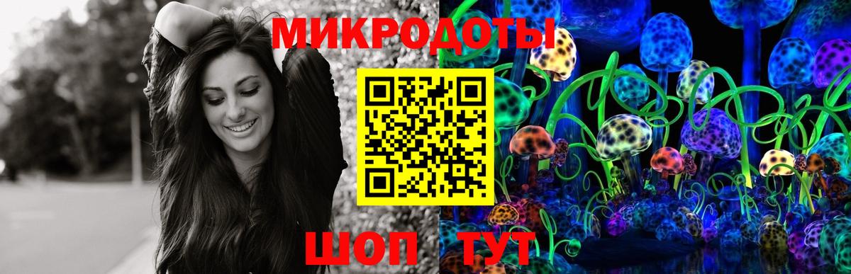 Псилоцибиновые грибы мухоморы Шатура